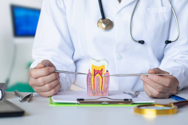 Best Weekend Emergency Dental Services in Mayville, ND